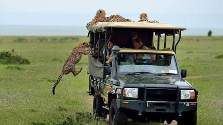 2-Day Lake Nakuru & Naivasha
