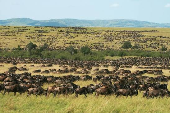 3-Day Samburu Safari