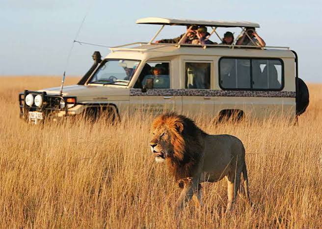 5-Day Diani Beach & Mombasa