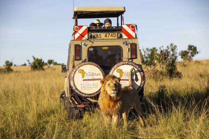 5-Day Diani Beach & Mombasa - Image 2